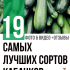 Грецкий орех: польза и вред — как оставаться здоровым. Варенье, настойки (на скорлупе и перегородках), особенности для женщин (Фото & Видео) +Отзывы