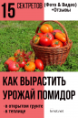 Морковь: Описание 28 Лучших Сортов | (Фото) +Отзывы