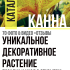Наливной пол: устройство, рекомендации и пошаговая инструкция как сделать своими руками (50 Фото & Видео) +Отзывы