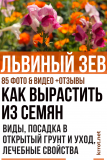 Львиный зев: описание, виды, выращивание из семян, посадка в открытый грунт и уход за растением, лечебные свойства (85+ Фото & Видео) +Отзывы