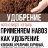 Лапчатка: описание 17 популярных видов, правила выращивания, посадки в открытом грунте, размножения и ухода (100 Фото & Видео) +Отзывы