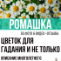 Наливной пол: устройство, рекомендации и пошаговая инструкция как сделать своими руками (50 Фото & Видео) +Отзывы