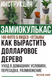 Замиокулькас (Долларовое дерево) (140 Фото & Видео) — уход в домашних условиях, пересадка, размножение +Отзывы