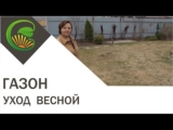[ВИДЕО] Что делать с газоном весной?