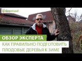 [ВИДЕО] Как правильно подготовить плодовые деревья к зиме