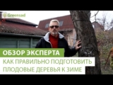 [ВИДЕО] Как правильно подготовить плодовые деревья к зиме