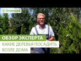 [ВИДЕО] Какие деревья посадить возле дома