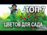 [ВИДЕО] Самые популярные многолетние цветы