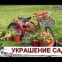 [ВИДЕО] Голубика — посадка, уход, сорта