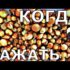 [ВИДЕО] Как сделать идеально ровные грядки