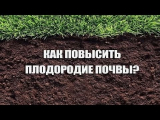 [ВИДЕО] 8 способ повысить плодородие почвы