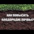 [ВИДЕО] Органические удобрения для сада и огород