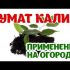 [ВИДЕО] Как ГУМАТЫ могут оставить вас без урожая?