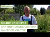 [ВИДЕО] Как уничтожить сорняки на своем участке