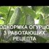 Лимонник китайский: выращивание от Подмосковья до Сибири, посадка в открытом грунте и уход, лечебные свойства и противопоказания (35 Фото & Видео) +Отзывы