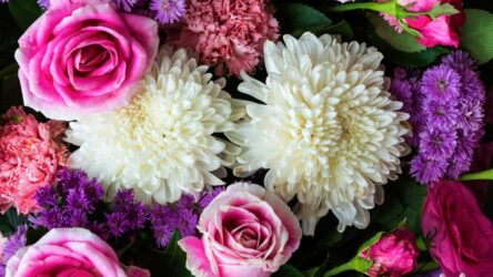 Какие букеты цветов любят дарить в разных странах мира?