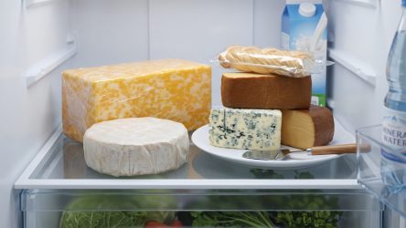 Как и сколько хранить сыр, чтобы он не заплесневел: 6 проверенных правил
